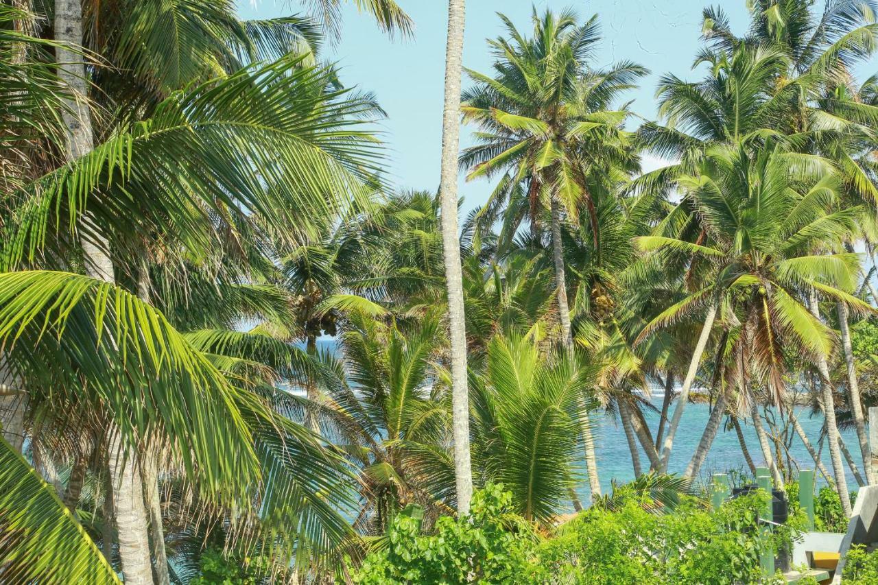 Coconut Hill Homestay Mirissa Zewnętrze zdjęcie